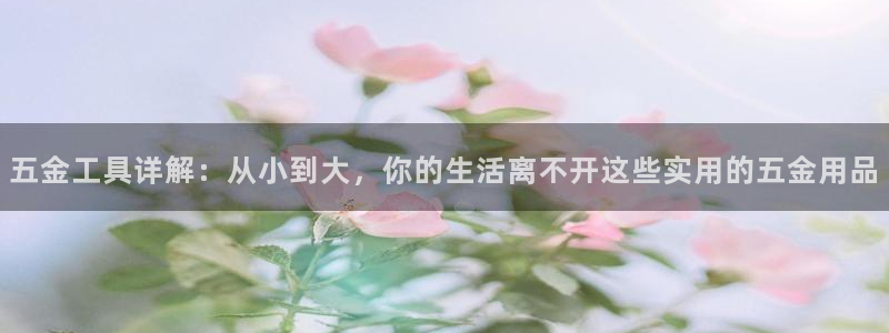 天宏娱乐金大叔