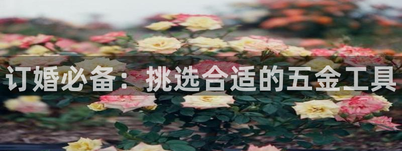 天宏娱乐平台登录