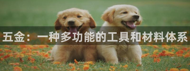 天宏娱乐会所电话地址