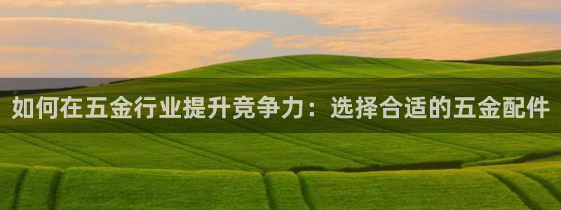 天宏娱乐指尖自