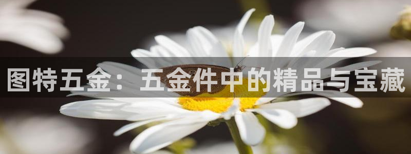 天宏娱乐d 判官