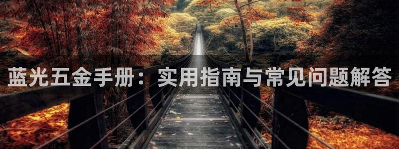 天宏娱乐直播在线观看高清