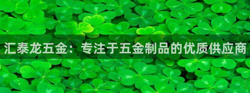 天宏娱乐秦叔