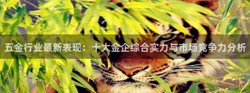 天宏娱乐32937股东