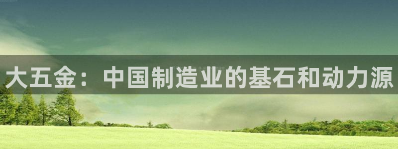 天宏娱乐丨金手指17