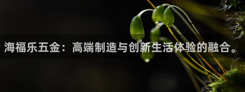 天宏娱乐818