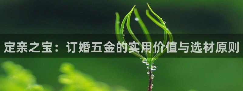 天宏娱乐小号怎么玩视频