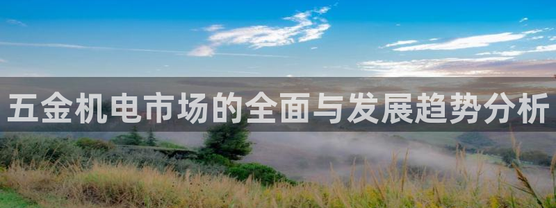 天宏娱乐陈叔