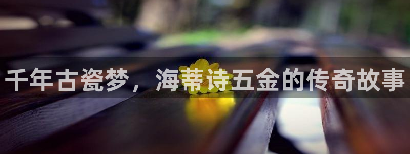 天宏娱乐直播团队介绍