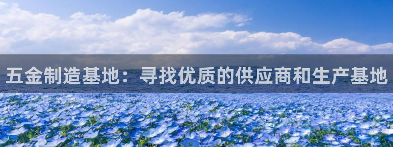 天宏娱乐豆豆
