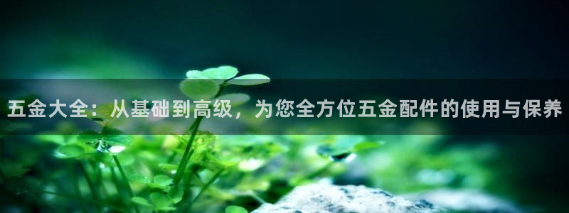 天宏娱乐董事长