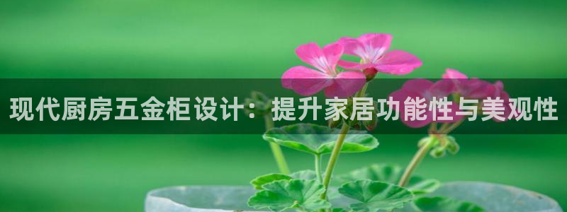 天宏娱乐老板朱俊伟
