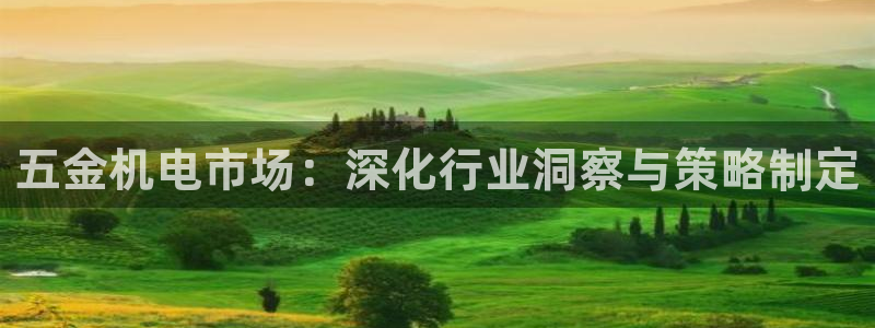 天宏娱乐老男孩吴叔