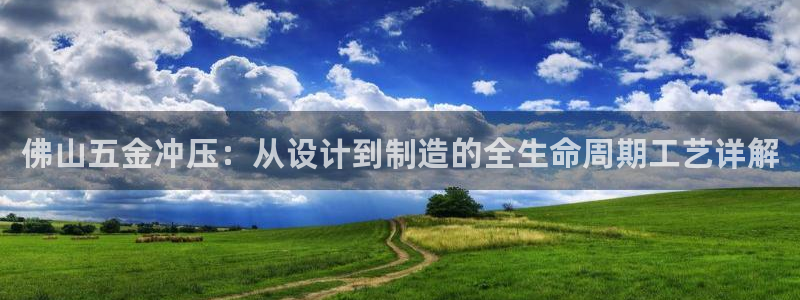 天宏娱乐石叔简介图片