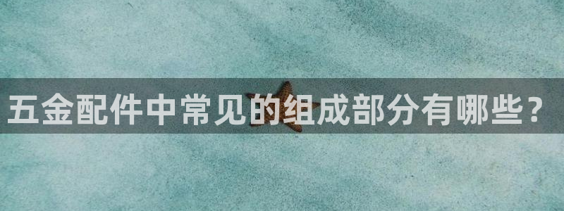 天宏娱乐言叔