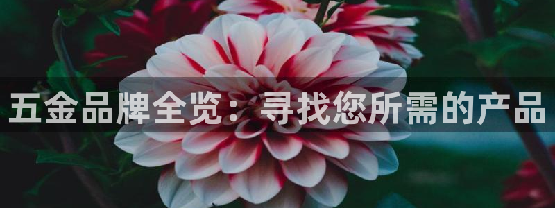 天宏娱乐梁善良
