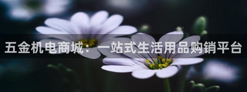 天宏娱乐选择千捷网络