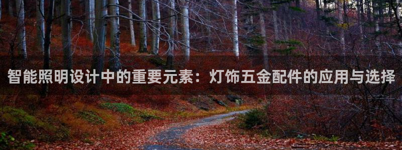 天宏娱乐创始人简介