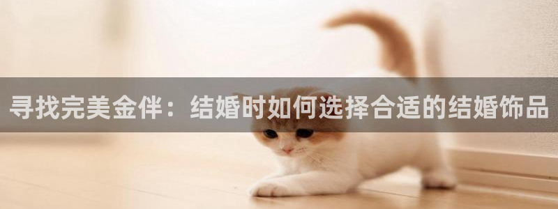 天宏娱乐刘叔