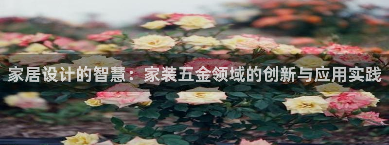 天宏娱乐集团董事长