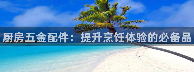 天宏娱乐股东
