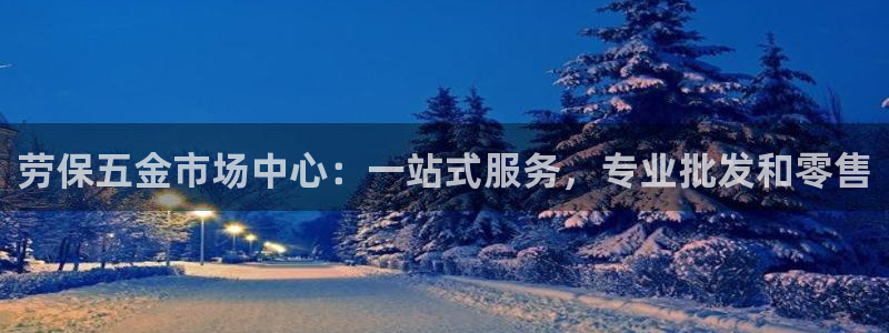 西安天宏娱乐团