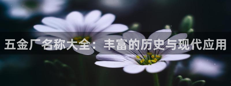 天宏娱乐钟叔