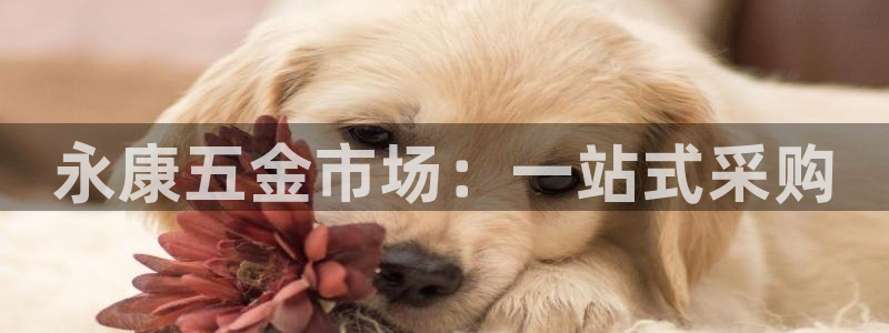 天宏娱乐招商主管