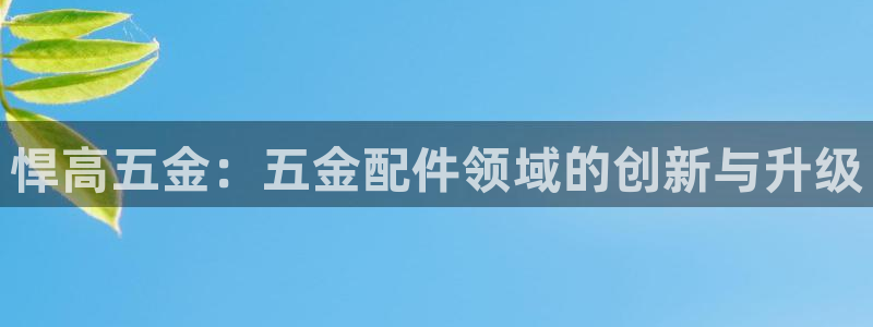 天宏娱乐6号