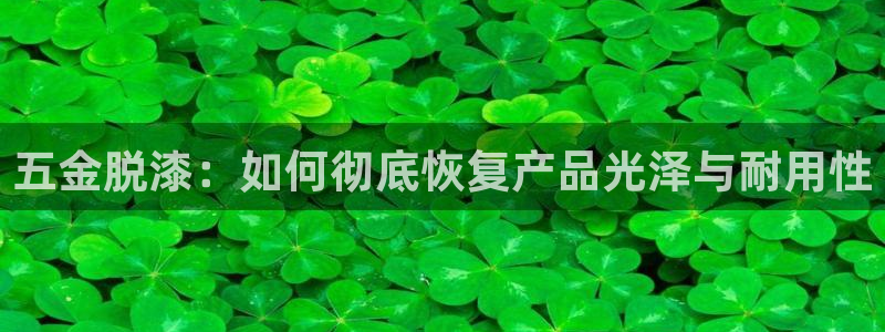 天宏娱乐彬彬叔