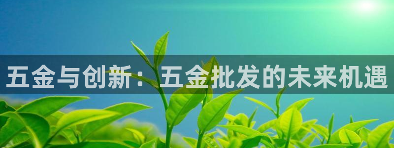 天宏娱乐老韩