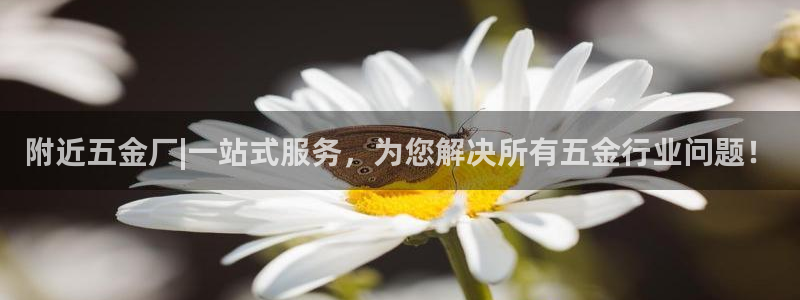 西安天宏娱乐老男孩