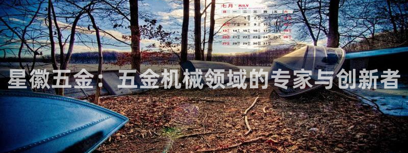 天宏集团黑骑士娱乐