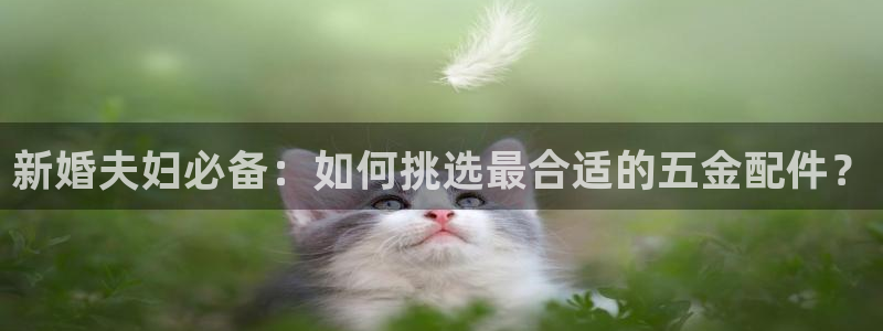 天宏娱乐a OO判官