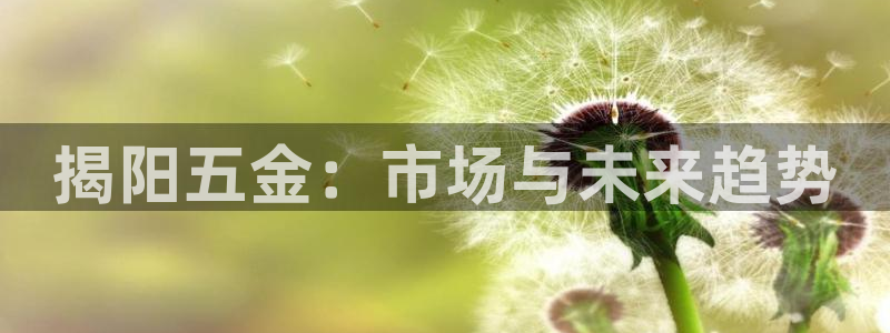 西安天宏娱乐直播间
