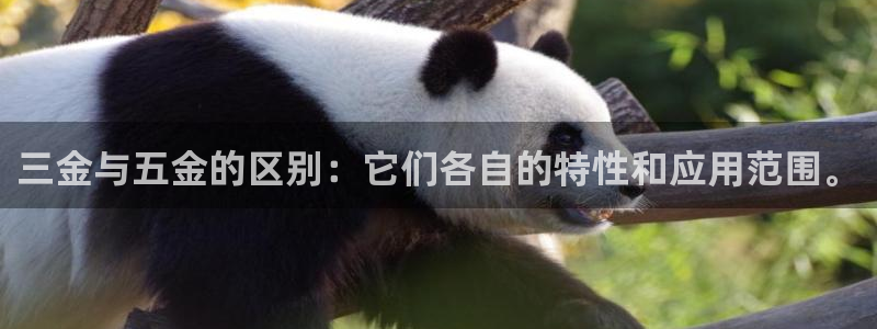 快手天宏娱乐是什么