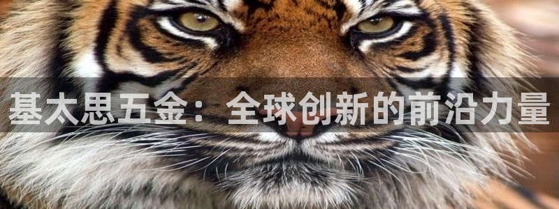 天宏娱乐app