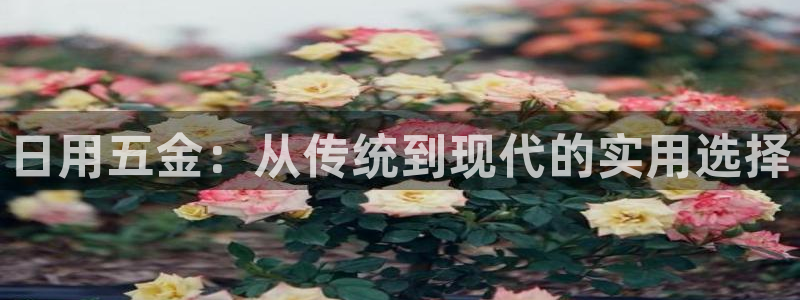 天宏娱乐丁叔