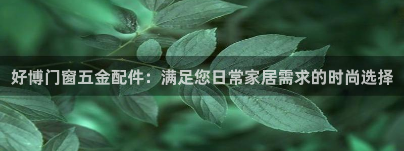 天宏娱乐天宏娱禾