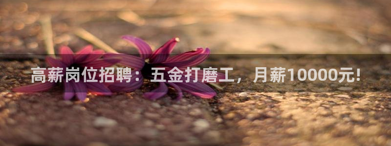 天宏娱乐2000