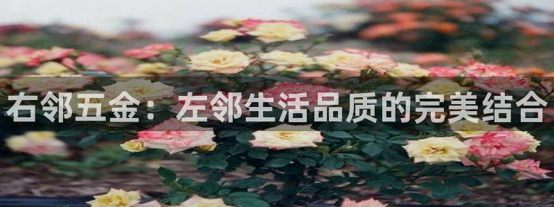 天宏娱乐李叔