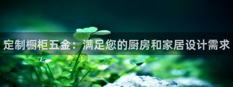 天宏娱乐男孩