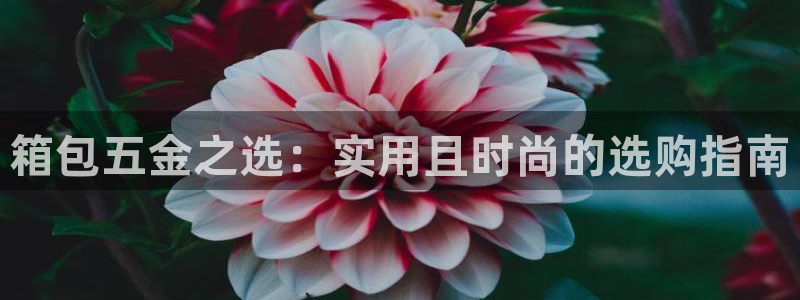 天宏娱乐卢叔