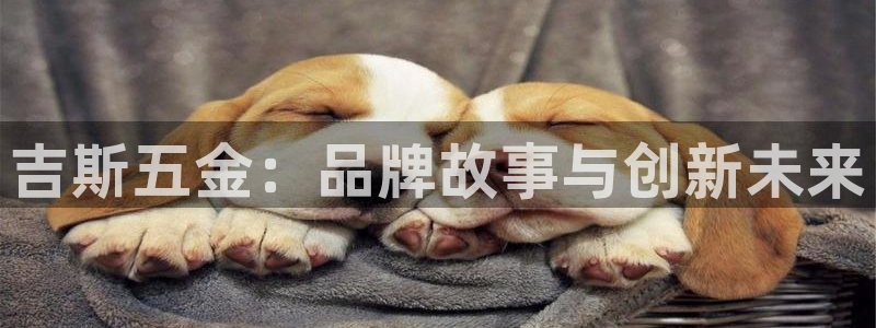天宏娱乐小号怎么玩