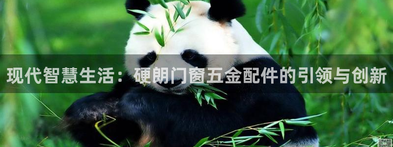 天宏娱乐青峰