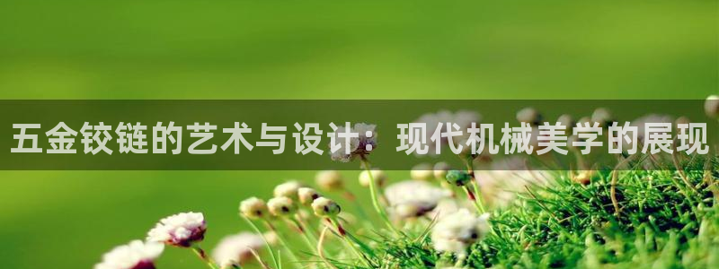 天宏娱乐有群