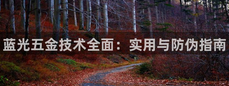 天宏娱乐总店电话号码