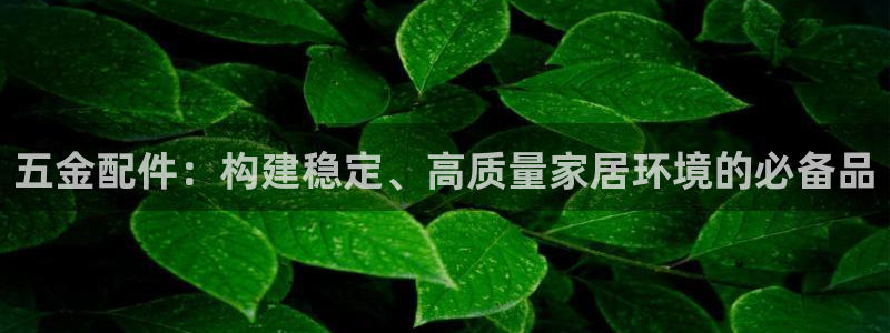 天宏娱乐2000