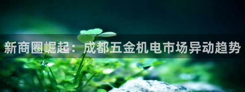 天宏娱乐中意hfqjwl下拉