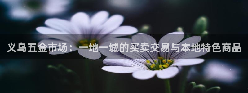 宏天娱乐说